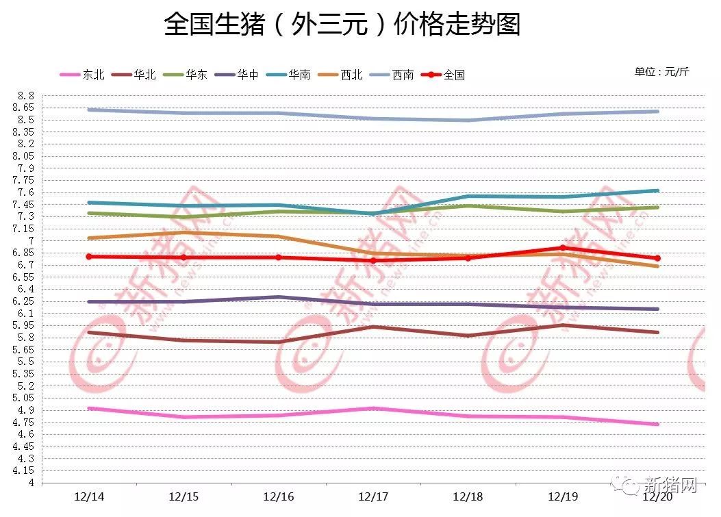 今日全国最新猪价分析与展望