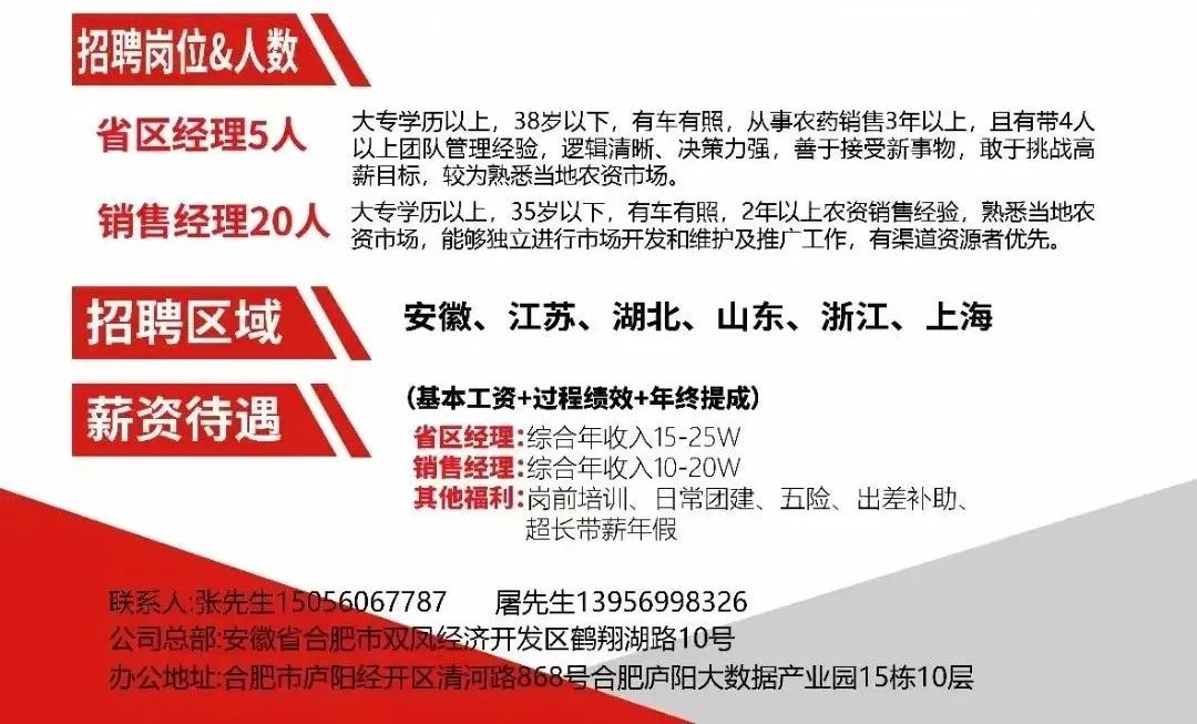 合肥最新招工信息概览