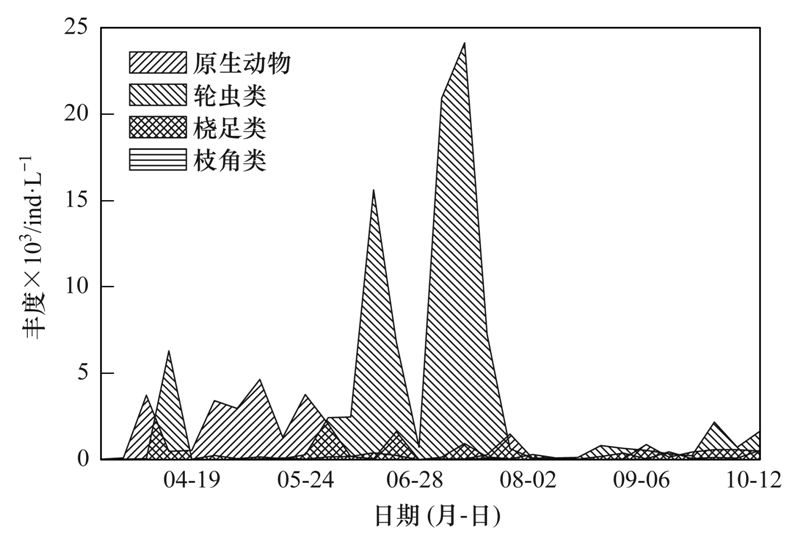 沙市兼职最新招聘动态及其影响