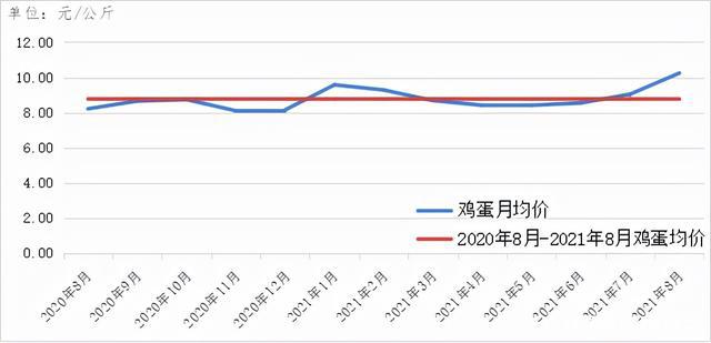 陕西大蒜价格最新行情分析