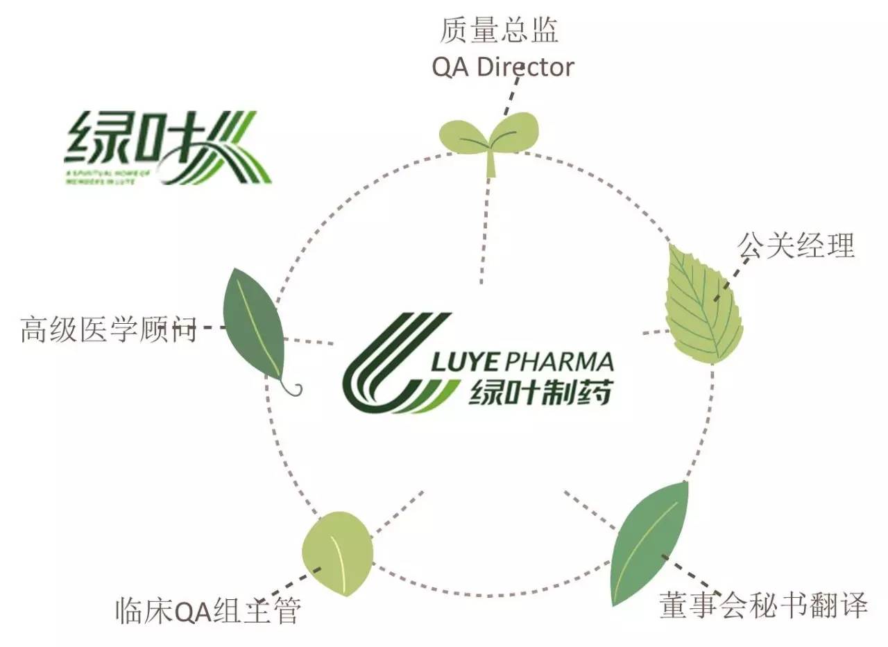 烟台绿叶制药最新招聘动态及其发展机遇